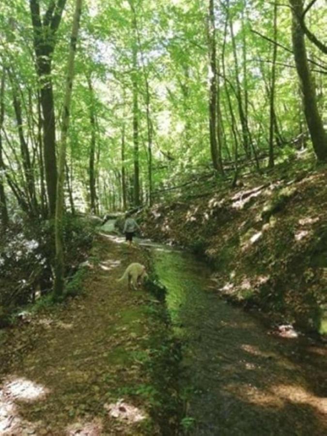 مبيت وإفطار Corrèze Le Parc Des 4 Saisons المظهر الخارجي الصورة