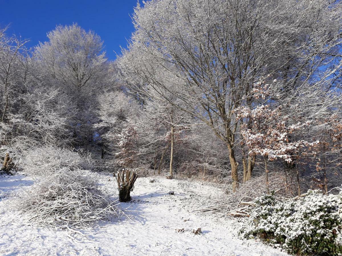 مبيت وإفطار Corrèze Le Parc Des 4 Saisons المظهر الخارجي الصورة